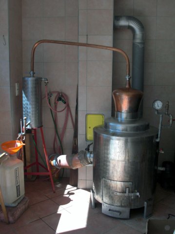 2011_DachsteinFrankPeter (18)